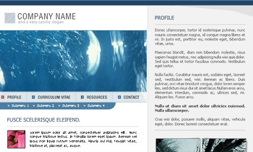 Web design mistakes