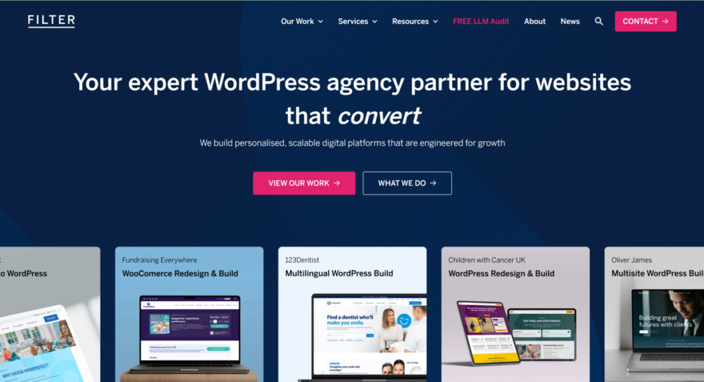 FilterAgency WordPress