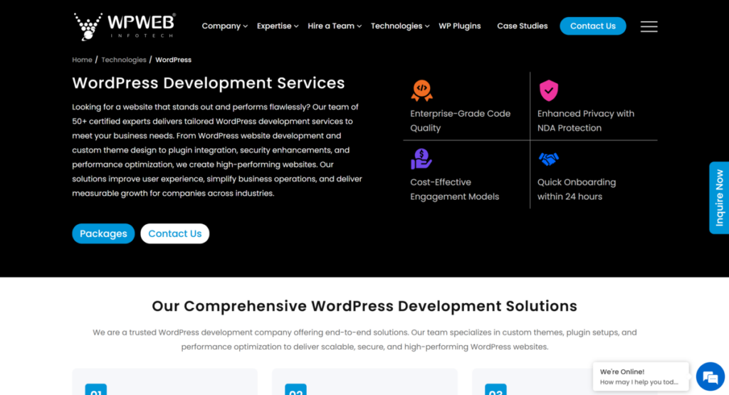 WpWeb-Infotech_WordPress